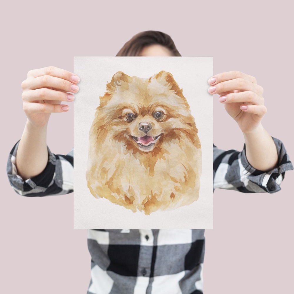 Watercolor Pomeranian Red Dog Wall Art Illustration Print Poster Card Unframed - Picture 3 of 7